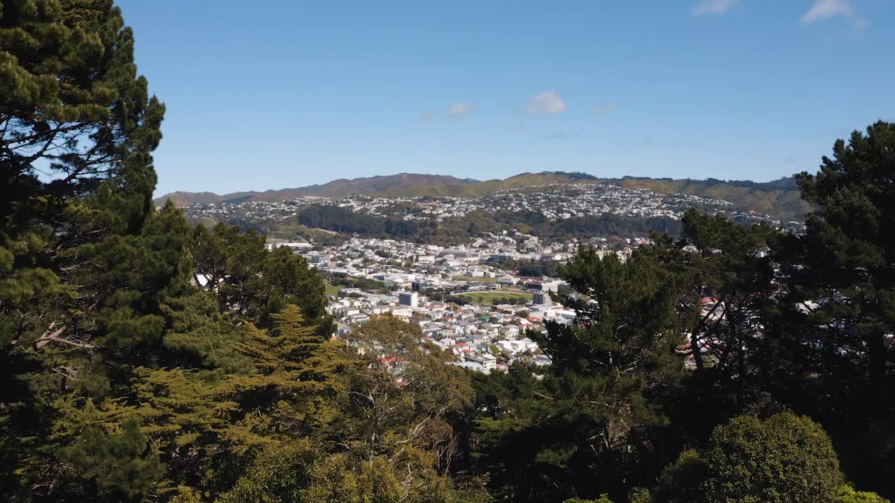 zoom aéreo, wellington, nueva zelanda, toma de establecimiento