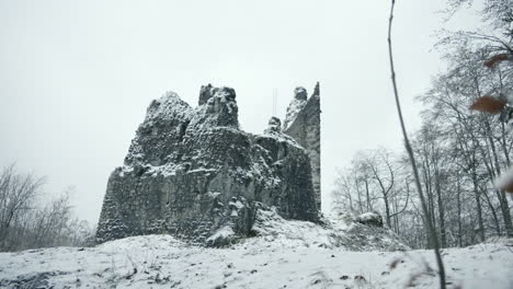 castle in white winter fog