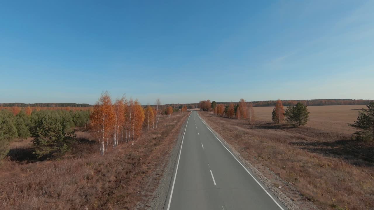 Droneoptagelser af en lige tom vej, der skærer gennem efterårsmarker og skov under en klar blå himmel i Ural-regionen, Rusland, ideel til rejse- og transporttemaer.