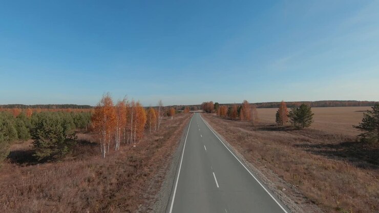 Filmato con drone di una strada dritta e vuota che attraversa campi e foreste autunnali sotto un cielo azzurro e limpido nella regione degli Urali, Russia, ideale per temi di viaggio e trasporto.