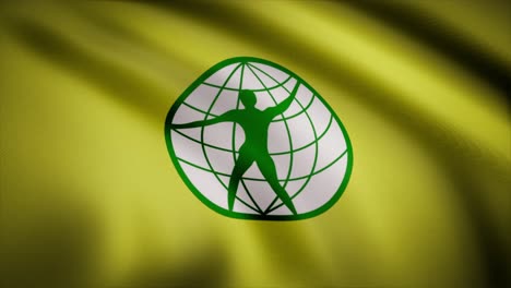 diseño de la bandera internacional