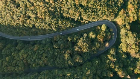 Drohnenaufnahmen-Aus-Der-Luft-Von-Autos,-Die-Auf-Einer-U-förmigen-Kurvenreichen-Straße-Mitten-Im-Wald-Fahren