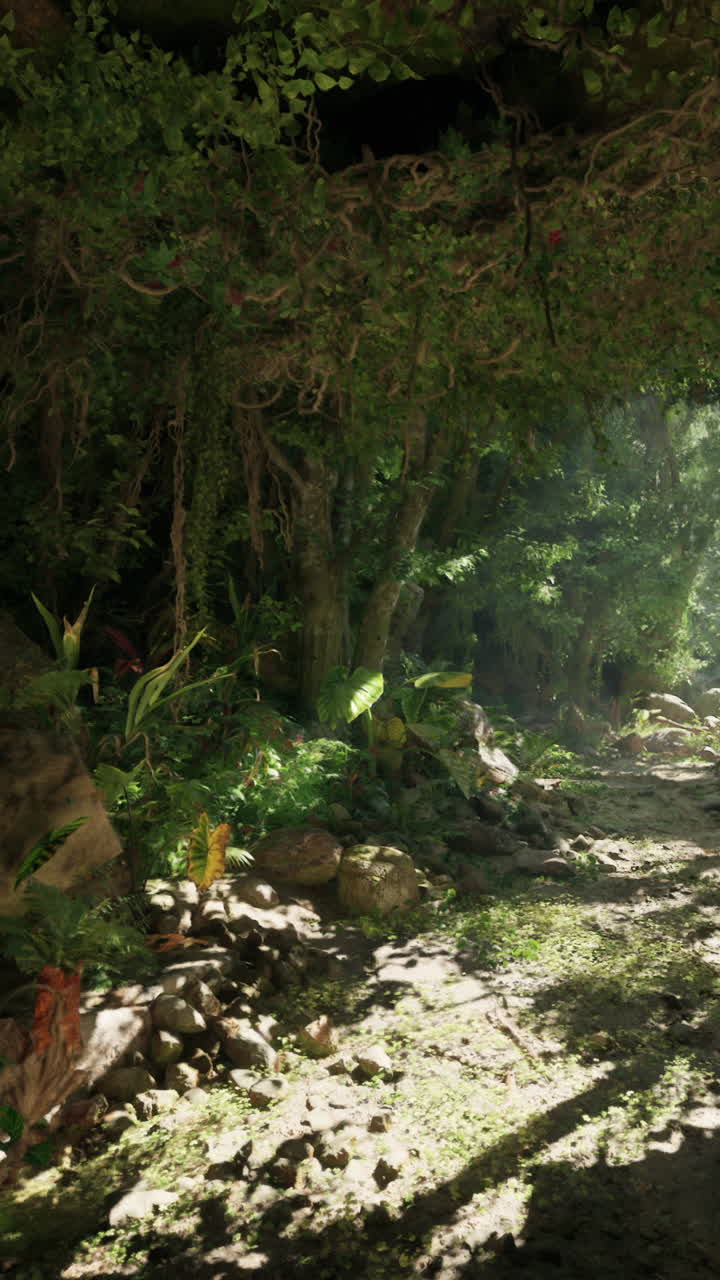 Light shining through a tunnel of trees in the enchanting forests of new zealand