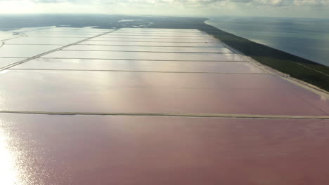 Rectangular-pink-salt-evaporation-ponds-behind-sea-isthmus-in-Yucatan