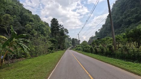 traveling down a tranquil road surrounded by nature