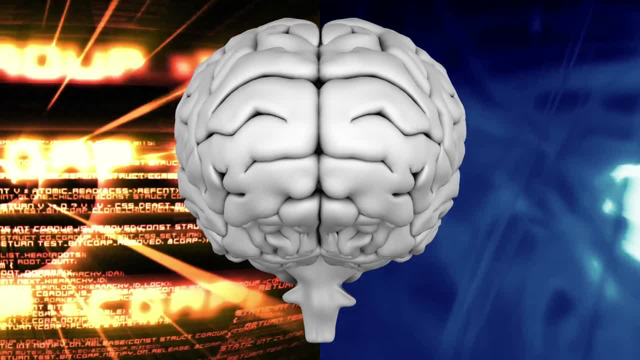 cerebro humano a quien está dividido fondo