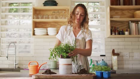 smiling caucasian woman potting plants standing in cottage kitchen