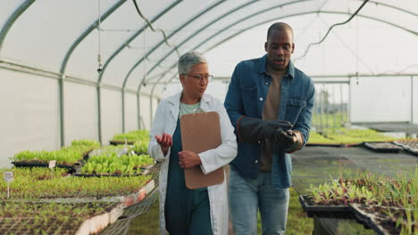 greenhouse, vegetable farmer