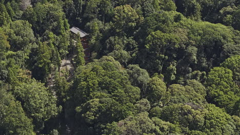 Kyoto Japan Aerial v14 zoomed drone flyover capturing passageway of vermilion torii gates, leading to Fushimi Inari Taisha in Fukakusa Yabunouchicho - Shot with Mavic 3 Pro Cine - Oct 7th 2023