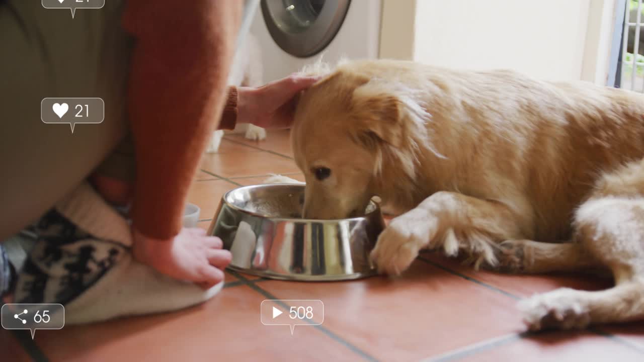 Frau kniet und füttert Retriever beim Abstellen des Futternapfes, dabei steigen Icons für Social Media Marketing auf.