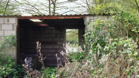 ruined farm storage building with a spooky feel