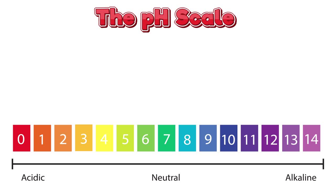 일상적인 물건의 ph 값에 대한 시각적 가이드