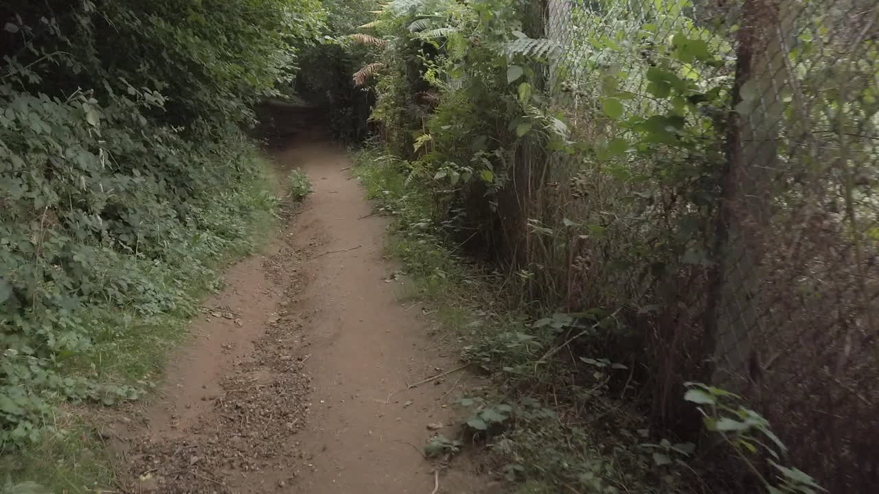 hyper lapse caminando por un sendero en un bosque en inglaterra en un día de verano