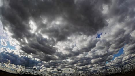 dramatic fisheye view of a cloudy sky, emphasizing depth and movement, ideal for a time-lapse video