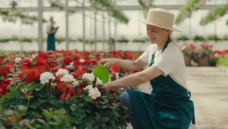 woman watering flowers in a greenhouse