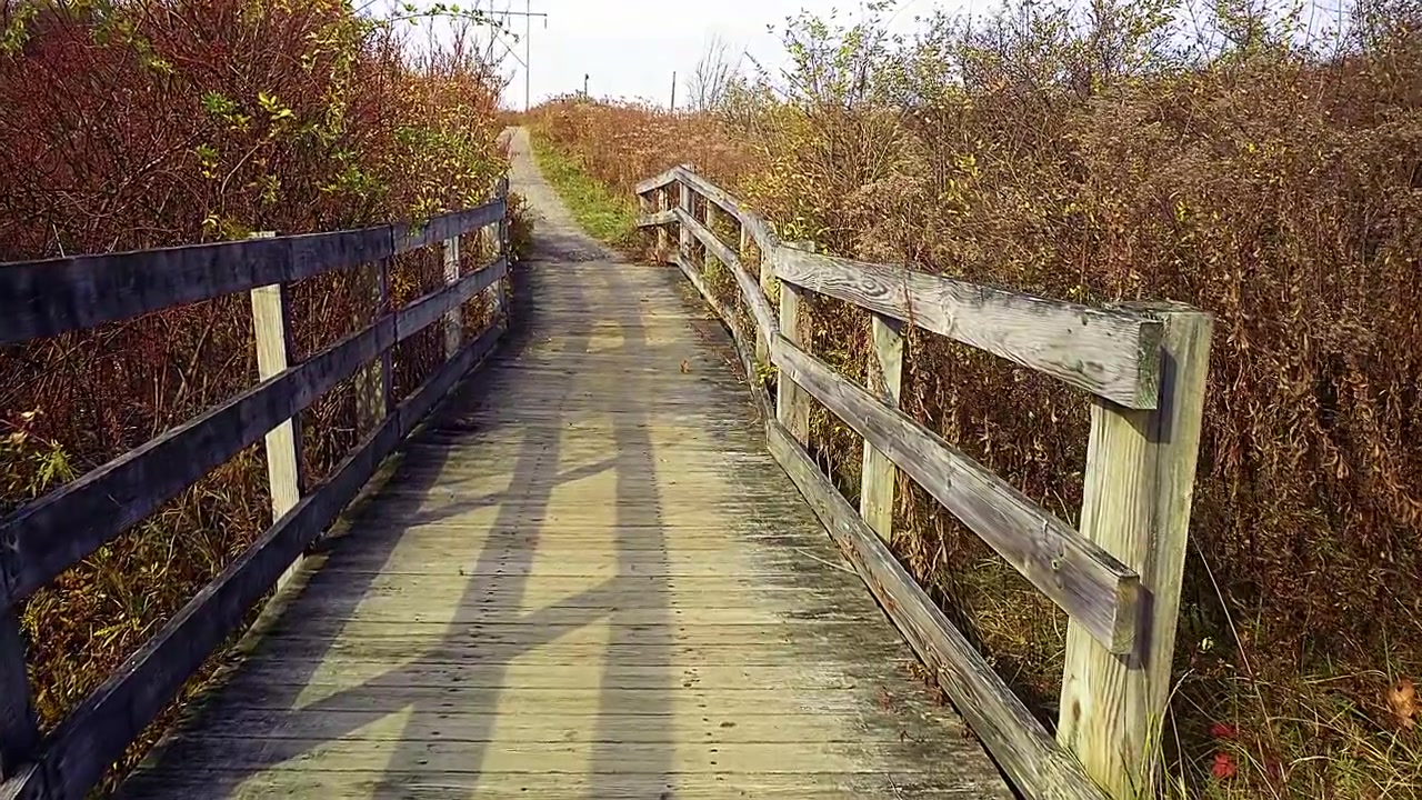 Træbro ved Thompson Point Trail i Portland, Maine