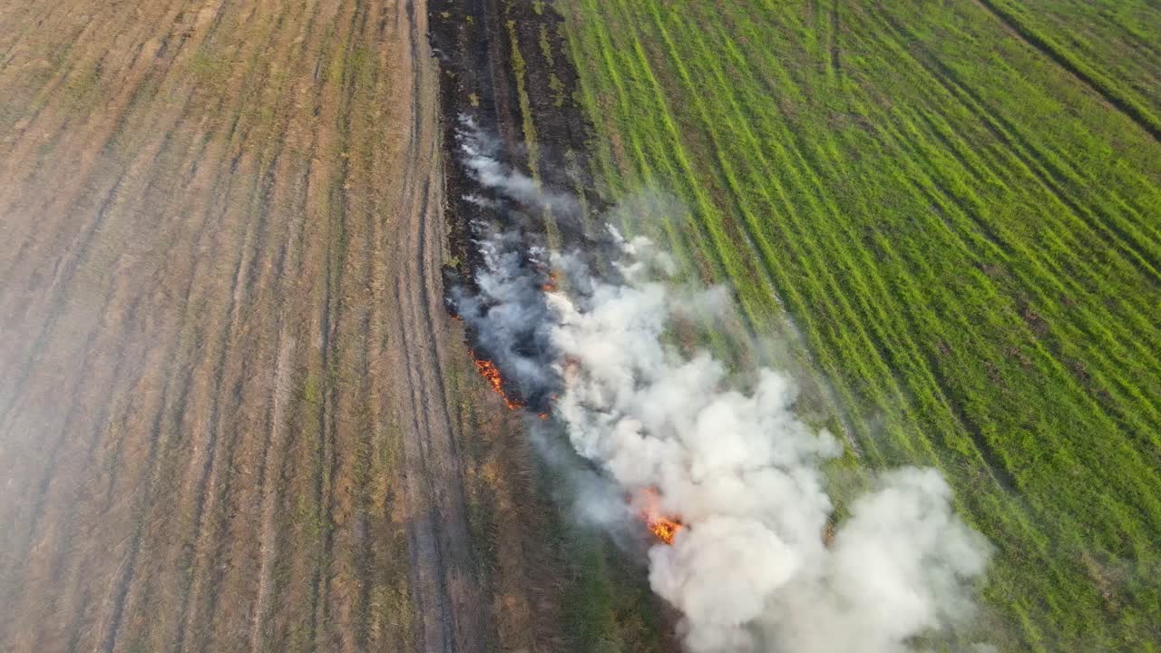 imágenes aéreas constantes de hileras de hierba que se queman para la agricultura que está contaminando el aire, quema de pastizales, pak pli, nakhon nayok, tailandia