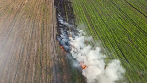 Imágenes-Aéreas-Constantes-De-Hileras-De-Hierba-Que-Se-Queman-Para-La-Agricultura-Que-Está-Contaminando-El-Aire,-Quema-De-Pastizales,-Pak-Pli,-Nakhon-Nayok,-Tailandia