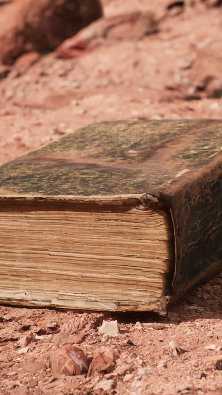 libro antiguo encontrado en el desierto