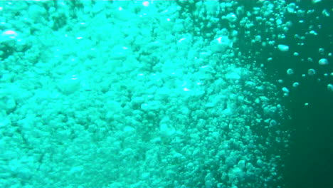 underwater camera view passes through bubbles exhaled from scuba diver.