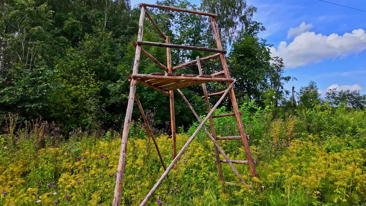낮 동안 길 에 있는 숲 속 의 나무 탑 의 프로필 뷰