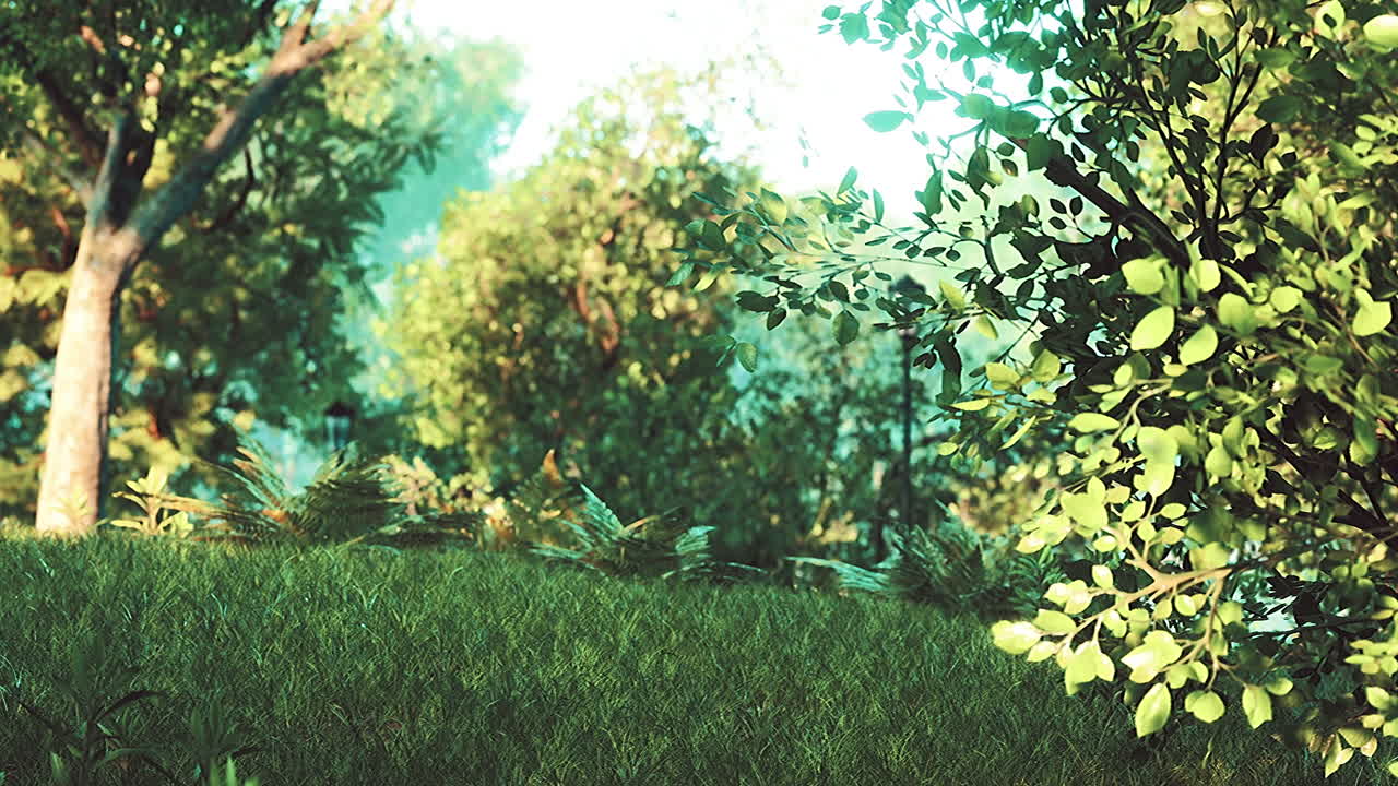 césped verde con gran patio al sol de la mañana