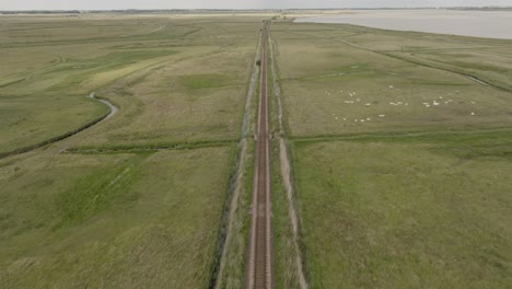 recto, vía férrea, norfolk broads, río yare, vista aérea, paisaje plano