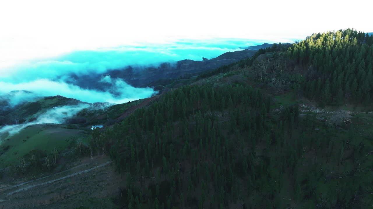 vista aérea en órbita durante la puesta del sol del mar de nubes y el bosque de pinos canarios