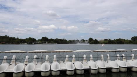 swan boats on a lake in a park