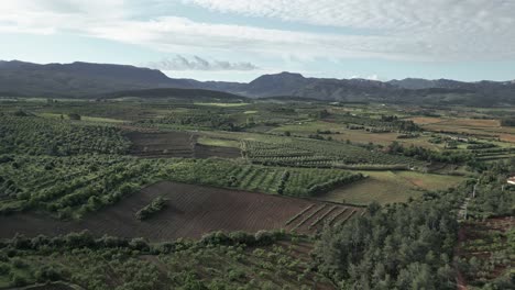 Scenic vineyards and olive groves stretch across the landscape of montsant natural park in priorat, catalonia, a region renowned for its wine culture