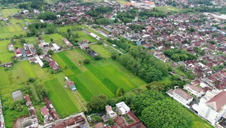 Dense-housing-district-and-rice-fields-in-Indonesia,-aerial-drone-view