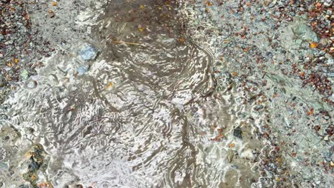 close-up overhead view of raindrops falling into a shallow puddle on a gravel trail, forming ripples. natural daylight, static camera, soft outdoor lighting