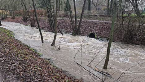 the raging stream forces of nature after heavy rain in menden sauerland