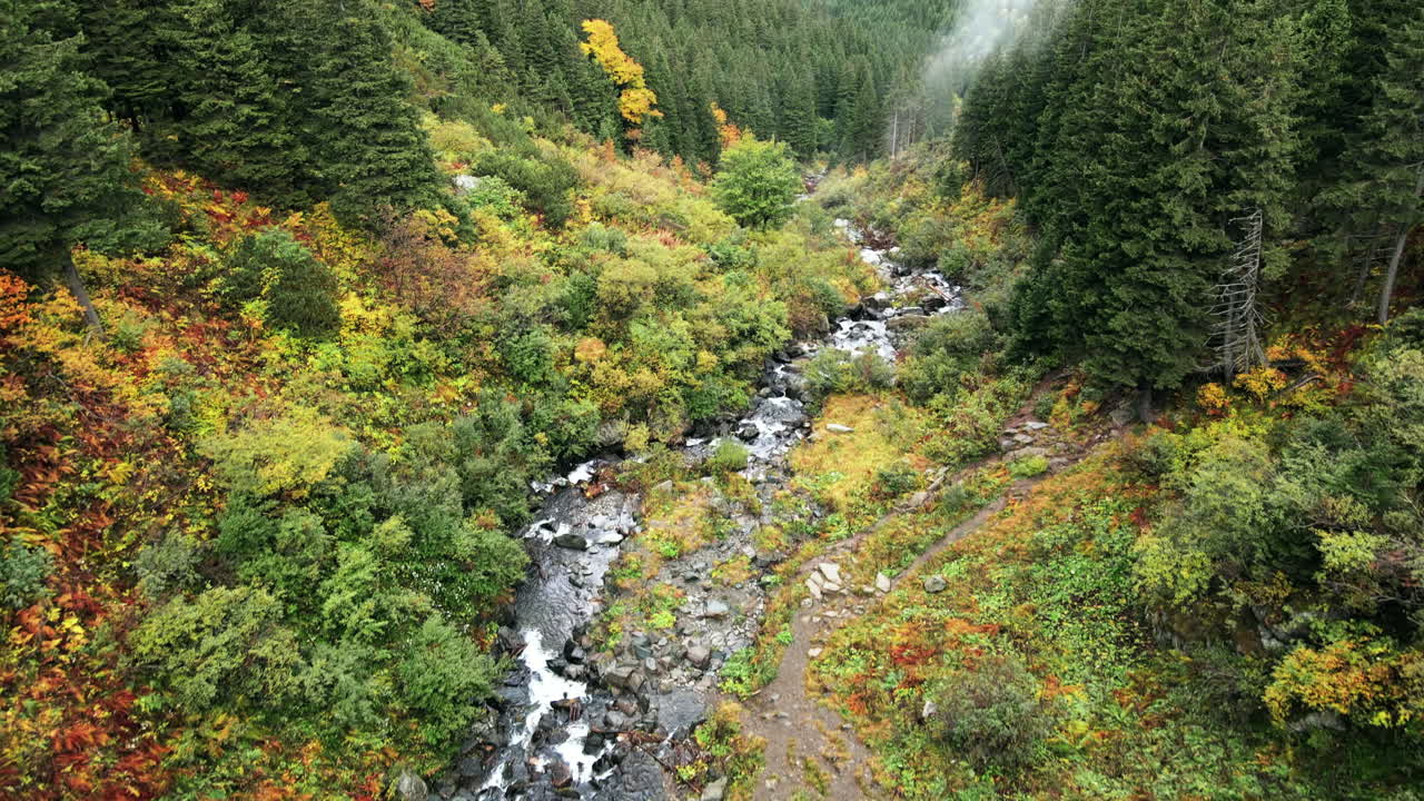 Aerial drone view of nature in Romania. Valley at Balea waterfall located in Carpathian mountains, lush vegetation, Transfagarasan route