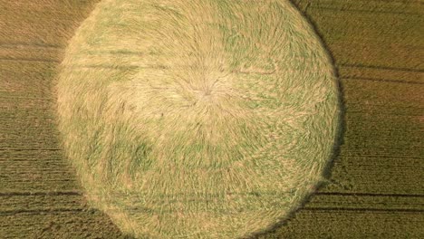 crop circle in a field - drone shot