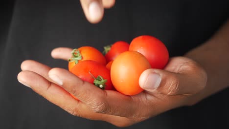 handful of fresh tomatoes