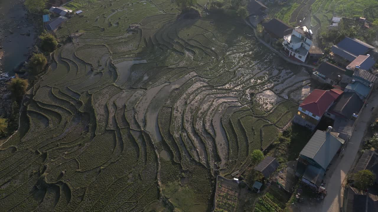 fotografía aérea de drones de aldeas en medio de terrazas de arroz de color verde brillante en las montañas de sapa, vietnam