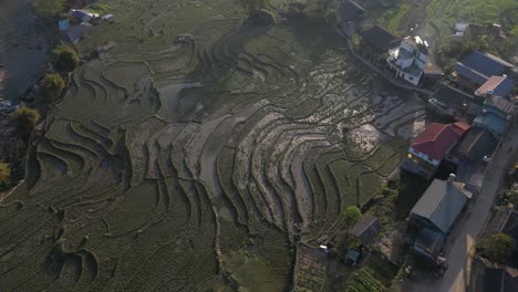 Aerial-drone-shot-of-villages-amidst-bright-green-rice-terraces-in-the-mountains-of-Sapa,-Vietnam