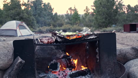 steak and vegetables grilling over hot campfire flames, tents and trees in background