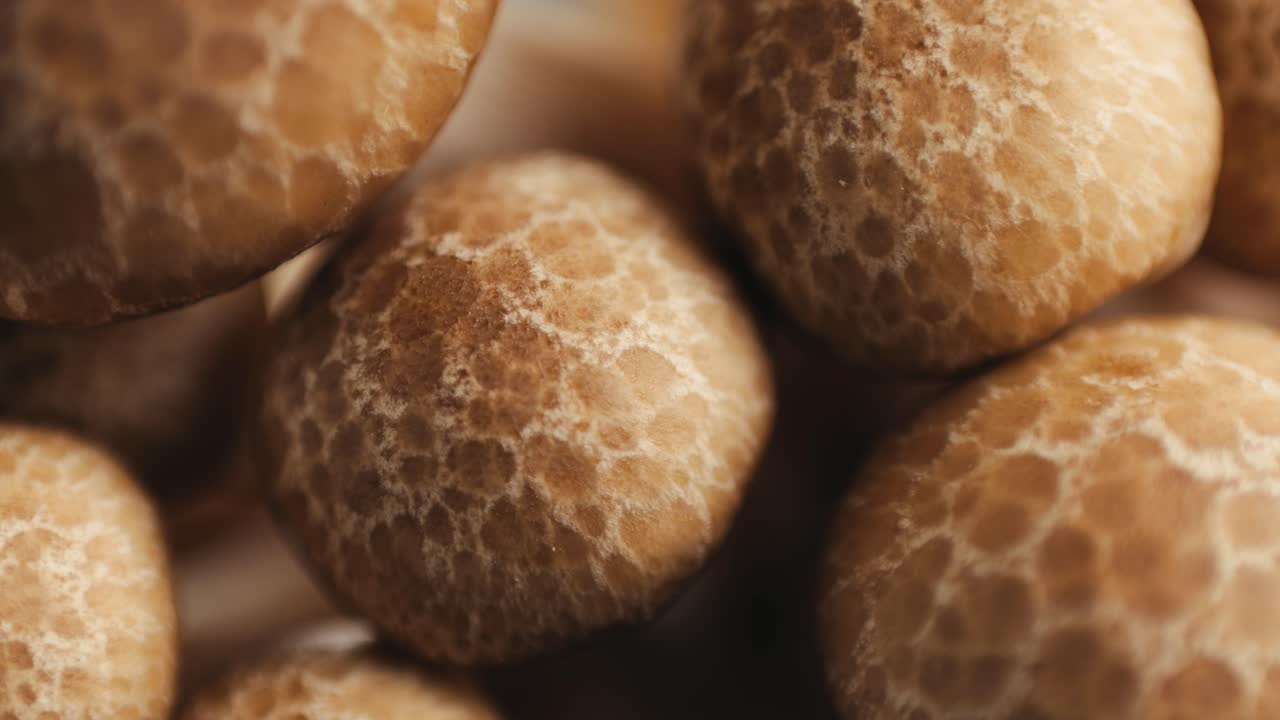 Close-up of Brown Mushrooms
