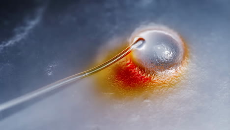 a macro shot of a droplet on a needle