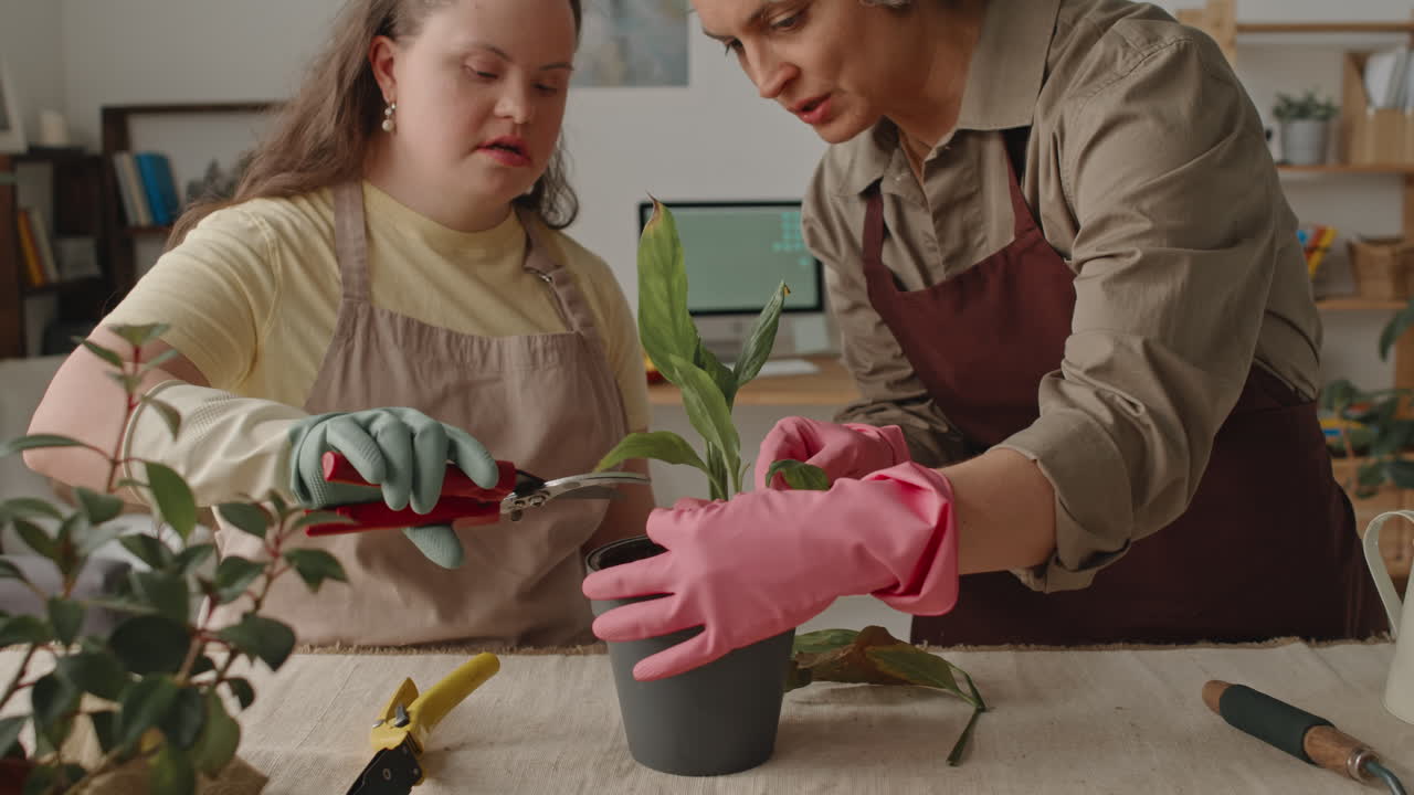 Gardening with a person who has Down Syndrome