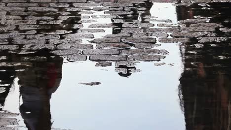 pedestrians are reflected in a puddle on a street in new york city