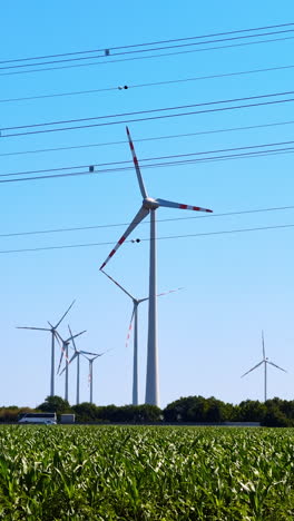 wind farm spinning slowly in the wind. corn field with wind mills producing energy. vertical video.