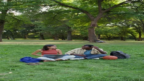 friends collaborating in a park