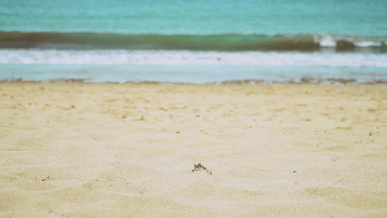 바다 배경 4에 대해 빈 모래 해변과 여름 휴가 개념