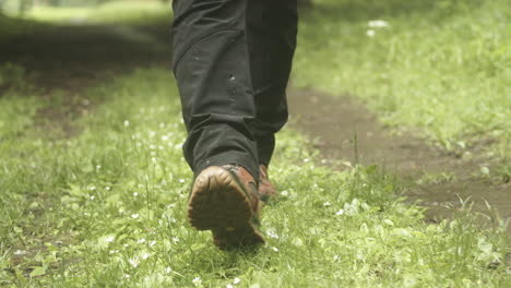 person in hiking boots walks grassy trail, reverse tracking low angle