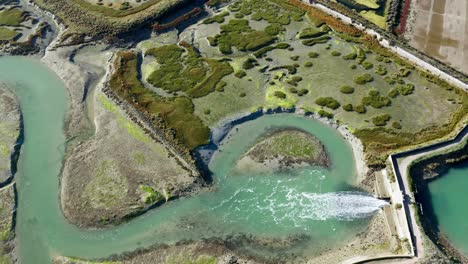 aerial view of water released through a dam on the nature reserve, ile-de-ré, france