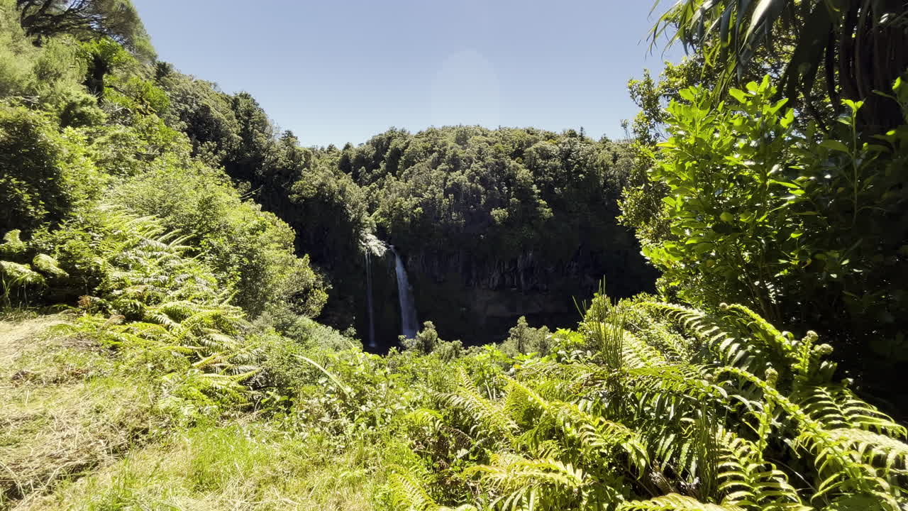 paisaje verde de bosque con dawson falls al fondo en la región de taranaki de nueva zelanda