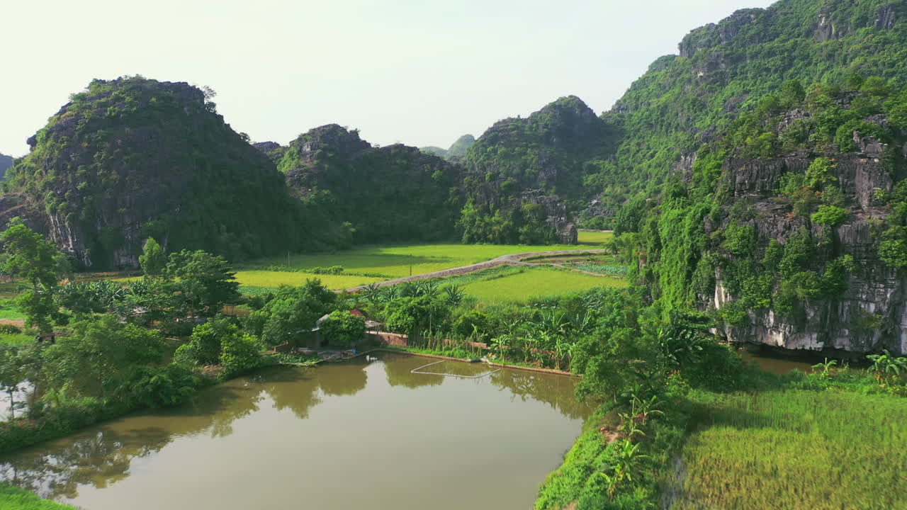 주변에 화려한 풍경이 있습니다.